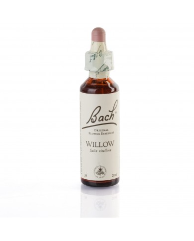 WILLOW ( saule blanc ) 20 ml