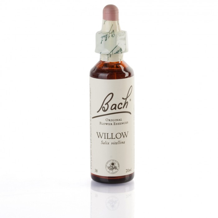WILLOW ( saule blanc ) 20 ml
