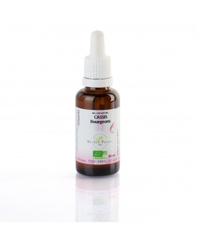 Cassis bourgeons concentré Bio