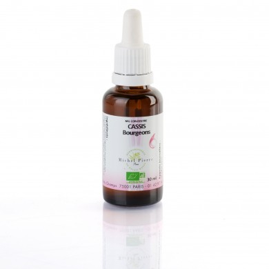 Cassis bourgeons concentré Bio