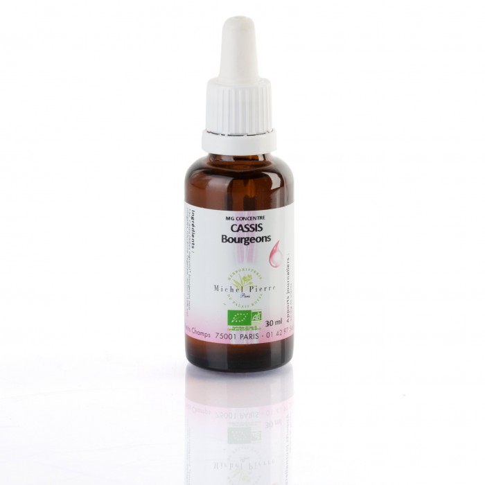 Cassis bourgeons concentré Bio