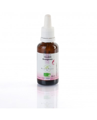Figuier bourgeons concentré Bio