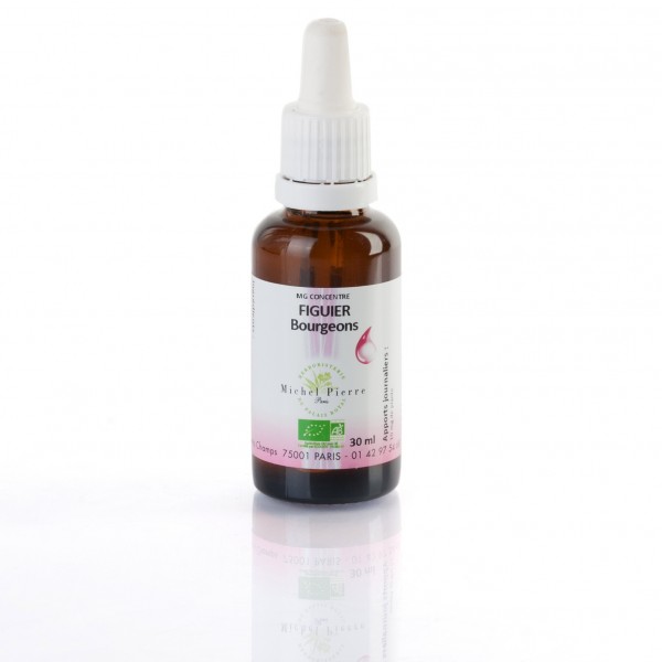 Figuier bourgeons concentré Bio