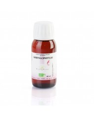 Myrtille bourgeons concentré Bio