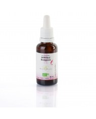 Prêle extrait hydroalcoolique Bio