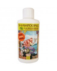 Shampooing Anti-chute - Certifié Bio*