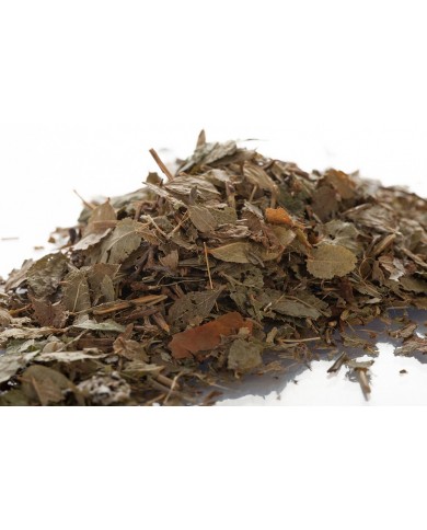 Myrtille feuilles en vrac