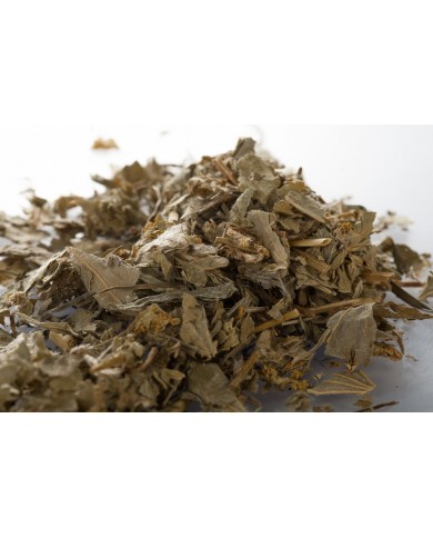 Alchemille vulgaire - Parties aériennes en vrac BIO
