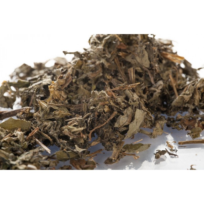 Armoise – Feuilles en Vrac | Artemisia vulgaris | Michel Pierre