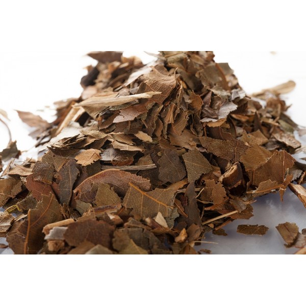 Avocatier – Feuilles en Vrac | Persea gratissima | Michel Pierre