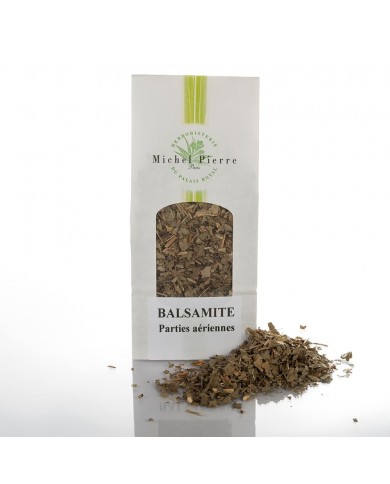 Balsamite (Menthe Coq) – Feuilles en Vrac | Tanacetum balsamita | Michel Pierre