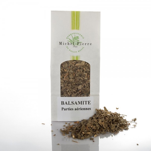 Balsamite (Menthe Coq) – Feuilles en Vrac | Tanacetum balsamita | Michel Pierre