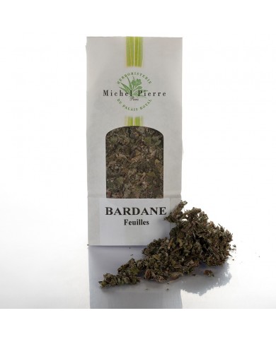 Bardane – Feuilles en Vrac | Arctium majus | Michel Pierre