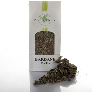 Bardane – Feuilles en Vrac | Arctium majus | Michel Pierre