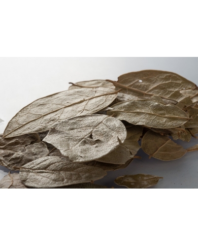 Boldo - Feuilles en vrac