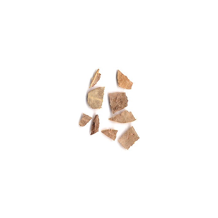 Boldo - Feuilles en vrac