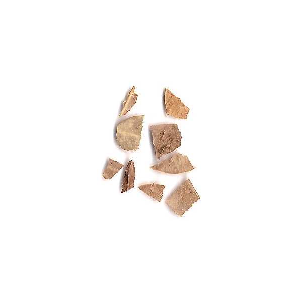 Boldo - Feuilles en vrac