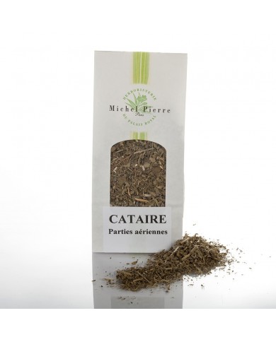 Cataire - parties aérienne en vrac