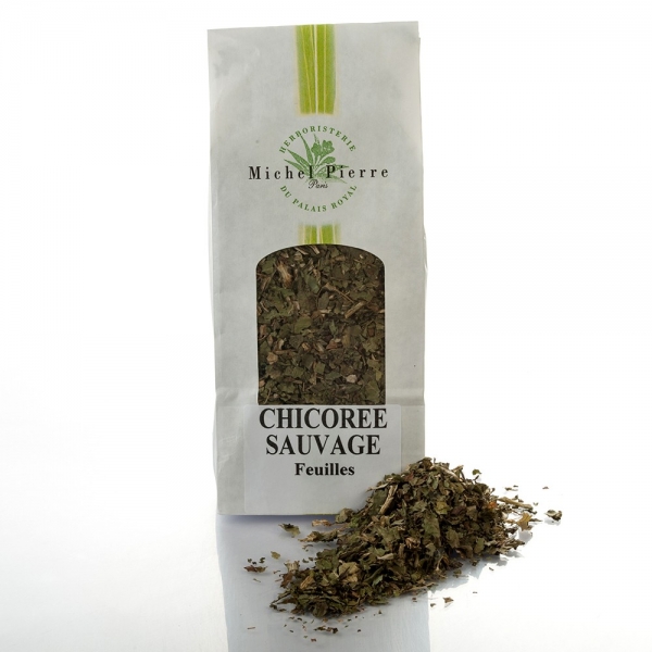 Chicorée sauvage - partie aérienne en vrac