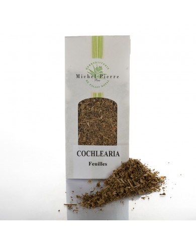 Cochléaire - Feuille en vrac