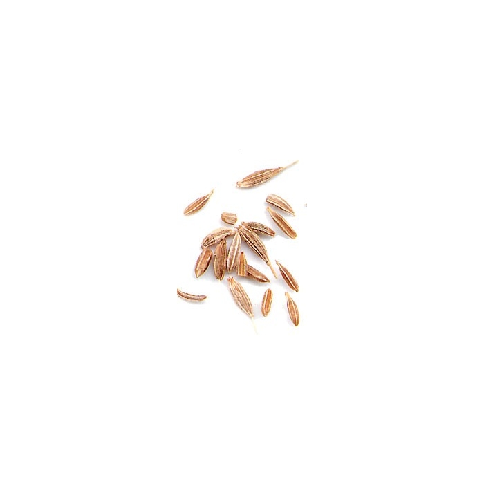 Cumin - semences en vrac