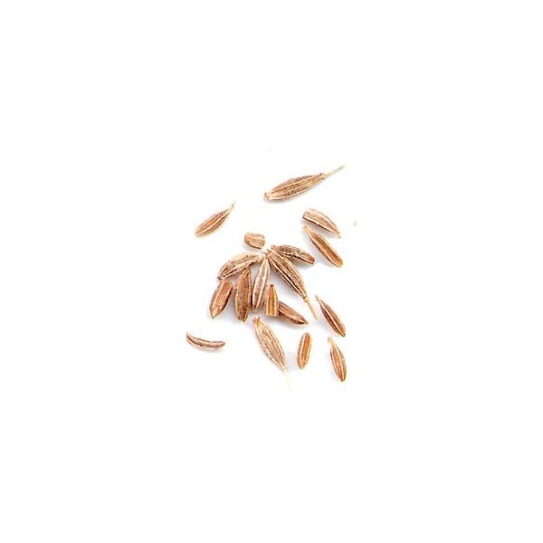 Cumin - semences en vrac