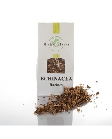 Echinacée - Racines en vrac